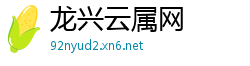 龙兴云属网
